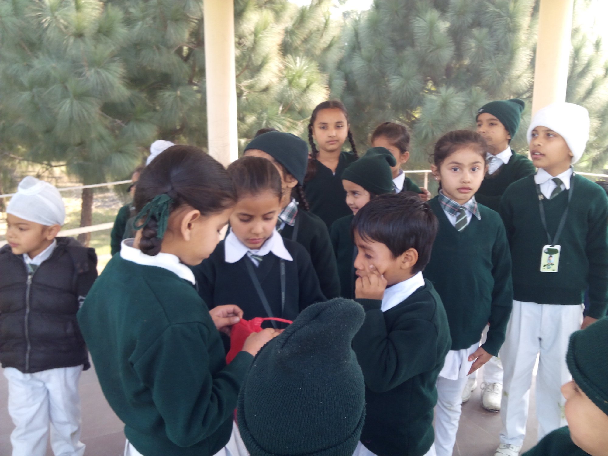 Students exploring at park